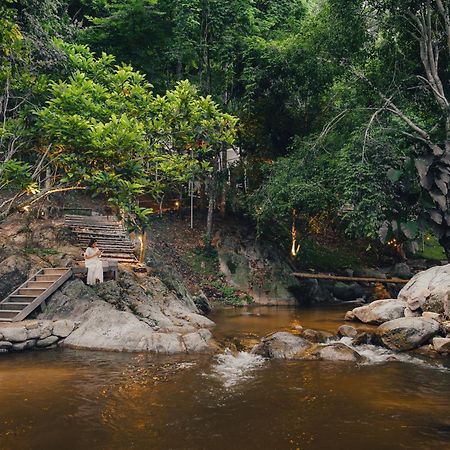 เดอะริเวอร์ แม่กำปอง The River Maekampong Chiang Mai Ban Pok Nai Esterno foto